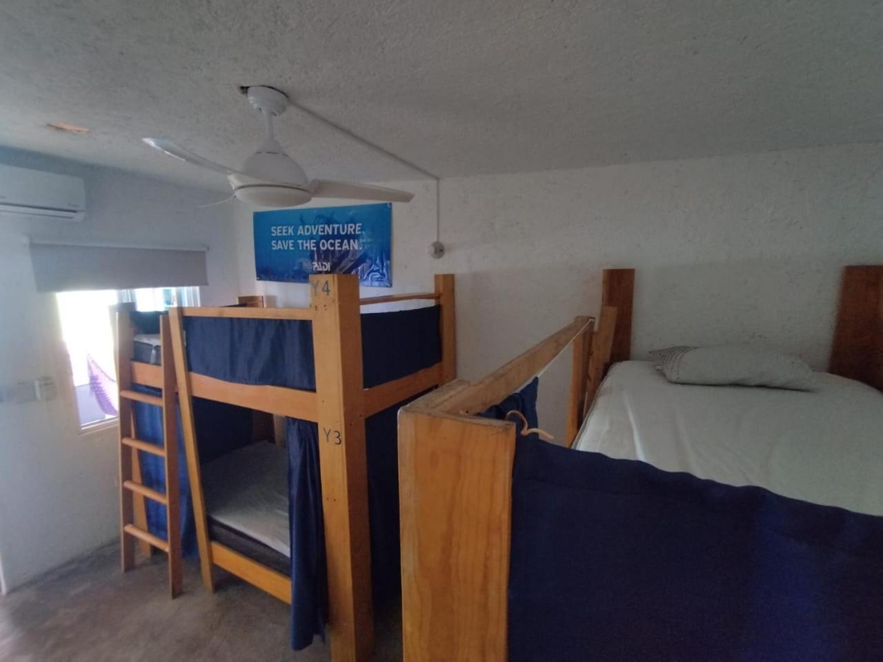 Single Bed in Mixed Dormitory Room