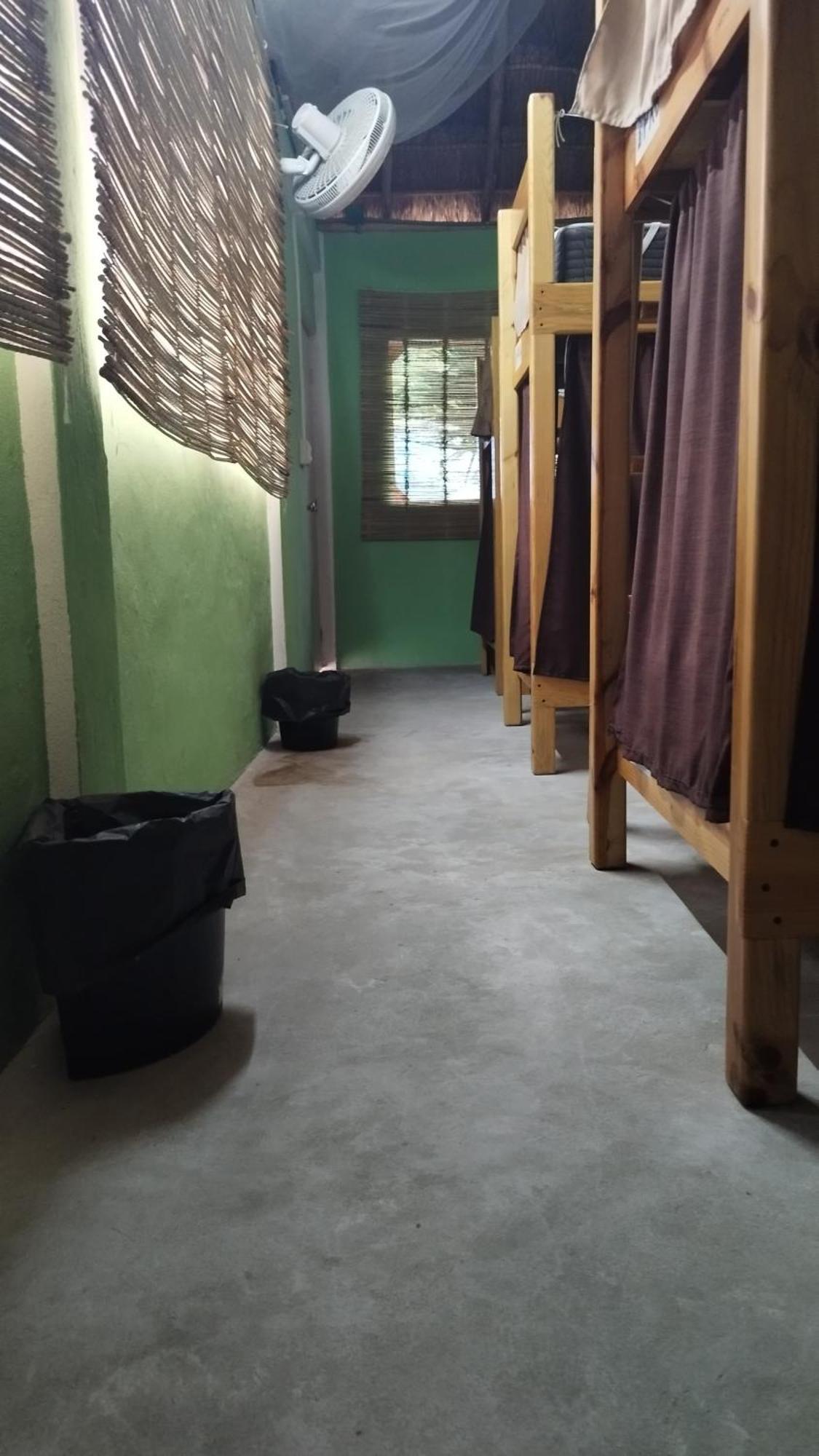 Single Bed in Mixed Dormitory Room